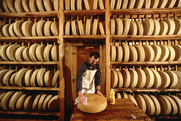 Gruyère cheese factory