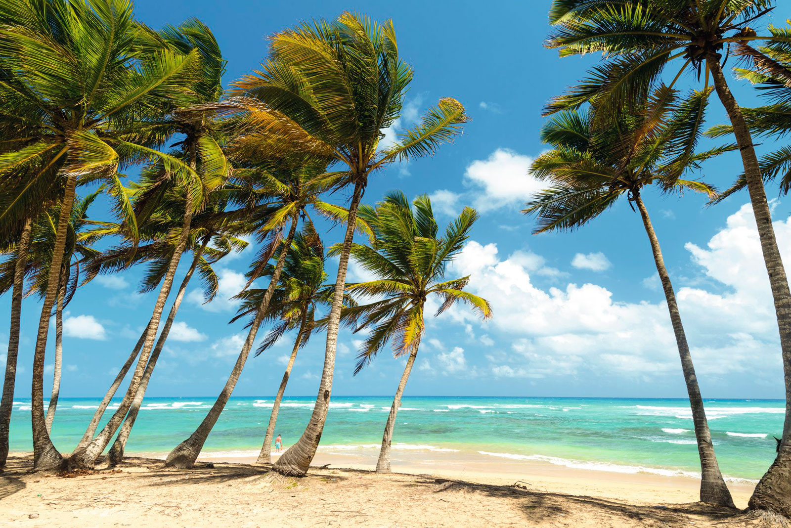 Buy Fiji dollars Exchange pounds for Fiji dollars TUI Travel Money